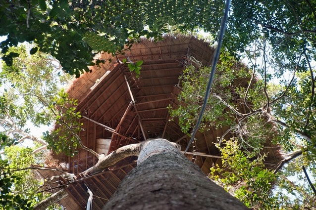 Zipline a stromový dům