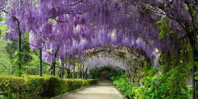 botanicke-zahrady-evropa