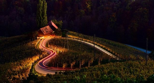 vinice-srdce-slovinsko